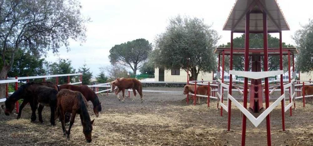 Hotel Ore Felici Park Mascali Exterior foto